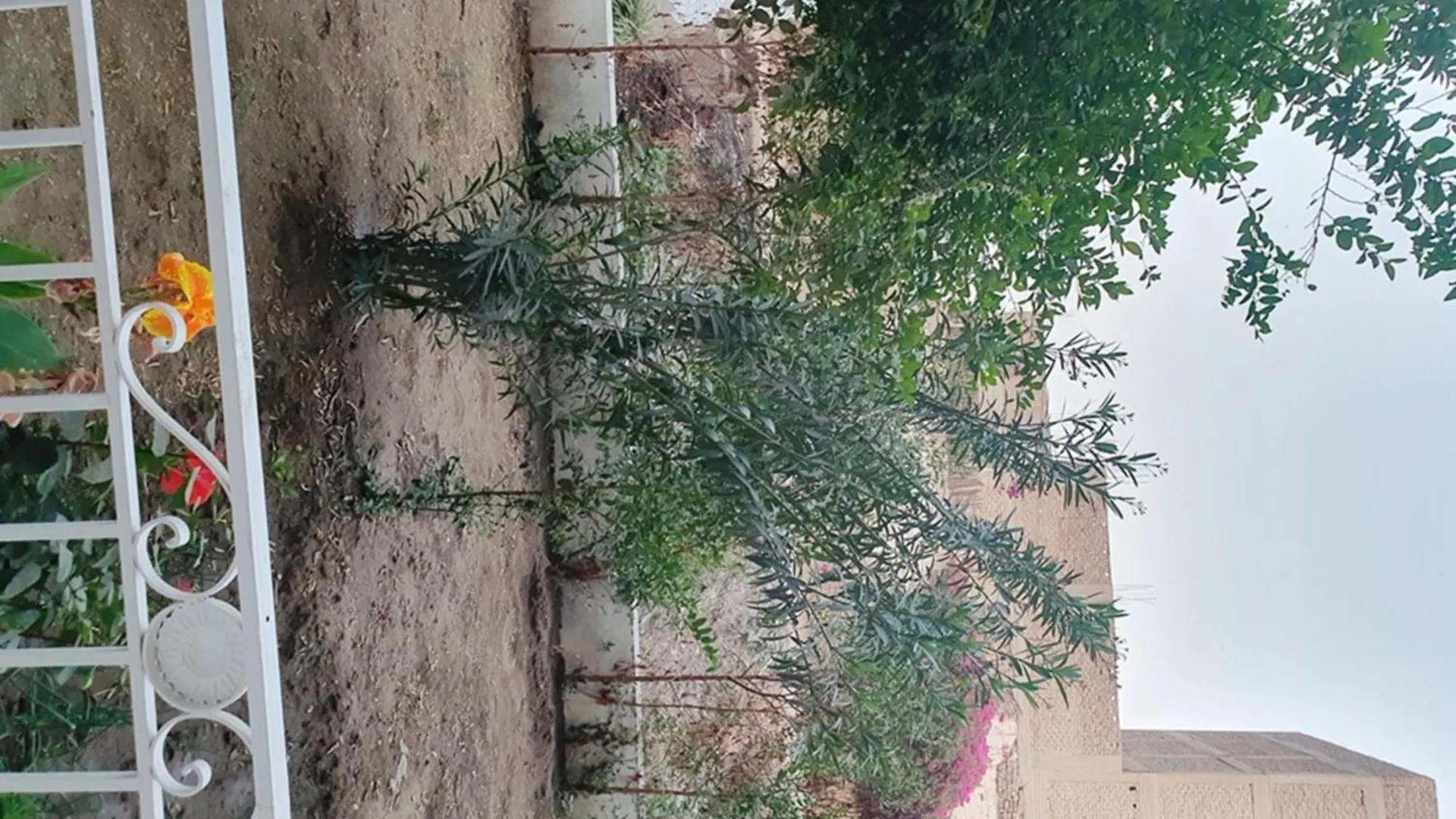 Family House Apartment Luxor